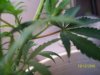 100_0551.jpg