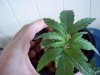 100_0204.jpg