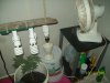 100_0552.jpg