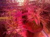 IMG_20101015_144320.jpg
