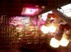 IMG_20101015_163935.jpg