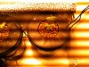 img5.jpg