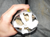hydrowick010.png hydrowick010.png