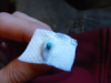 hydrowick011.png hydrowick011.png