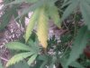 17102010422.jpg