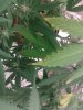 17102010421.jpg