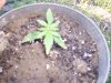 000_0053.jpg