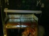 IMG_20101018_183244.jpg