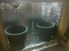 IMG_20101018_172259.jpg