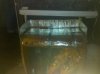 IMG_20101018_183250.jpg