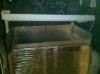 IMG_20101018_183325.jpg