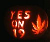 pumpkin1.jpg