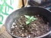 2010-10-19 14.58.58.jpg