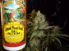 100_0192.jpg