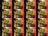 DSC02765.jpg