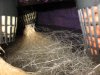 new_roots_02.jpg