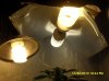 lights.jpg