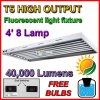 T548-WHITEWEBSHIP.jpg