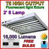 T5-28WHITEWEBSHIPPING.jpg
