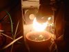 IMG00043-20101023-1117.jpg