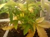 2010-10-24 11.36.17.jpg