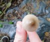 DSC00242.JPG
