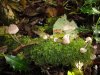 DSC00254.JPG