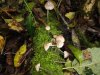 DSC00255.JPG