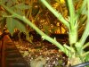 DSC06032.jpg