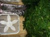 DSC06056.jpg