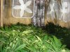 DSC06054.jpg