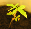 10-23-2010 b.png
