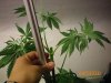 100_0111.jpg