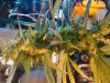 DSC00377.jpg