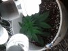 2010-10-26 22.03.58.jpg