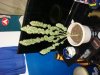 DSC03728.jpg