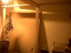 IMG00066-20101029-0914.jpg