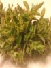 2010-10-29 18.20.59.jpg