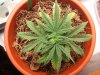 2010-10-30 19.50.27.jpg