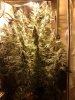 29102010494.jpg