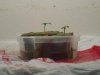 DSC01778.jpg