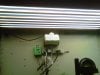 IMG00222-20101101-1059.jpg