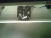 IMG00218-20101101-1055.jpg