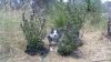 Picture 001.jpg