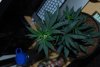 DSC_0315.jpg
