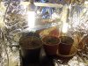 100_2350.jpg