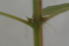 DSC00027.JPG