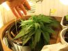 5-25-07.jpg