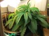 5-28-07.jpg
