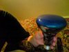 IMG000006.jpg